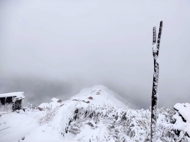 Rize'den sürpriz görüntüler! Kar yağışı beyaza bürüdü