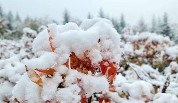 Foto - Rize'den sürpriz görüntüler! Kar yağışı beyaza bürüdü