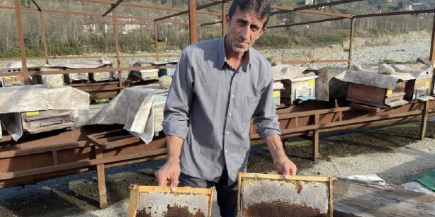 Rizeli arıcı, o iki ilimizden apar topar kovuldu... Sebebi ise herkesi hayretler içinde bıraktı! "Yok artık daha neler" diyeceksiniz