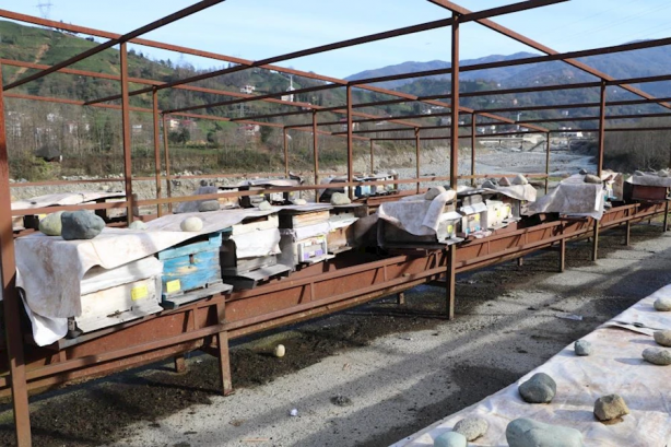Foto - Rizeli arıcı, o iki ilimizden apar topar kovuldu... Sebebi ise herkesi hayretler içinde bıraktı! "Yok artık daha neler" diyeceksiniz