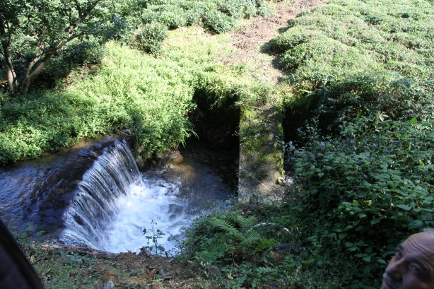 Foto - Rizeli yine yaptı yapacağını! Araba lastiklerinden öyle bir şey oluşturdu ki…