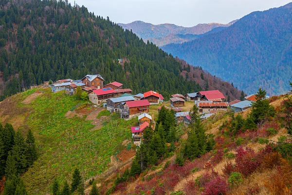 Foto - Rize’nin cennet köşesi: Pokut Yaylası