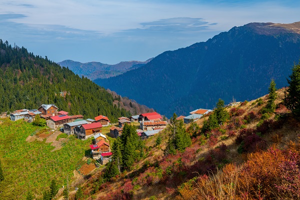 Foto - Rize’nin cennet köşesi: Pokut Yaylası