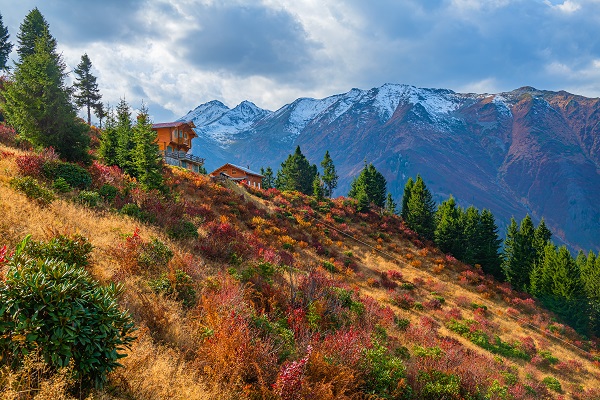 Foto - Rize’nin cennet köşesi: Pokut Yaylası