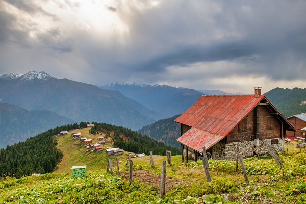 Foto - Rize’nin cennet köşesi: Pokut Yaylası