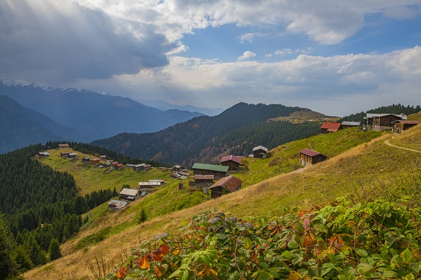 Rize’nin cennet köşesi: Pokut Yaylası