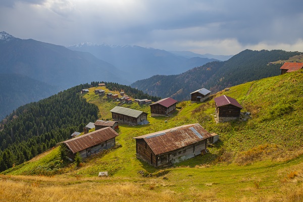 Foto - Rize’nin cennet köşesi: Pokut Yaylası