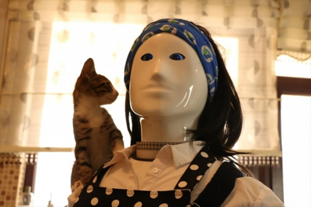 Foto - "Robot Ada" kadınların yardımcısı olacak