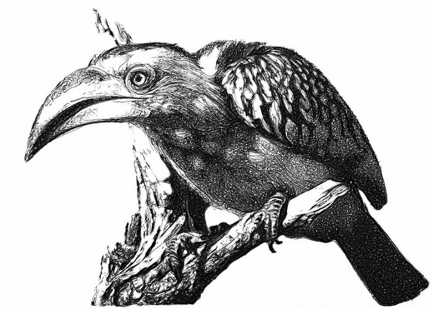 Foto - Robotlar tarafından yapılmış sanat eserleri