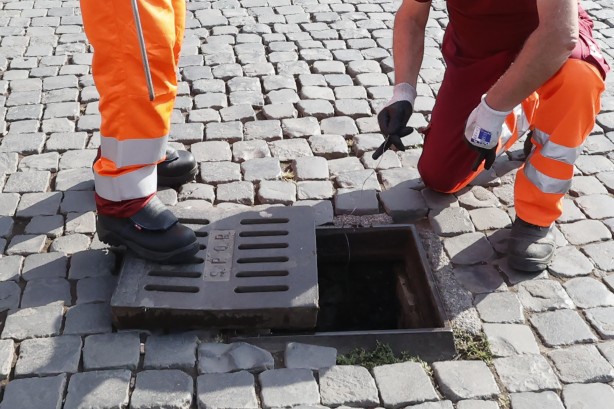 Foto - Roma, farelerle mücadele ediyor: Milyonlarca kişinin beklediği haber: Flaş duyuru!