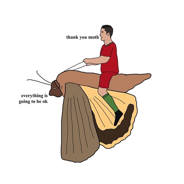 Foto - Ronaldo'nun yüzüne konan güve olay oldu