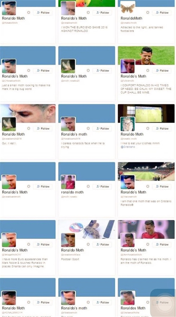 Foto - Ronaldo'nun yüzüne konan güve olay oldu