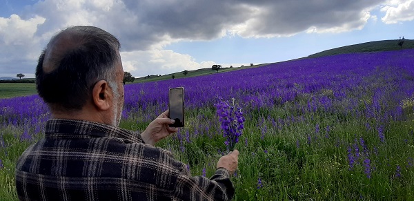 Foto - Rönesans tablosu değil Macar fiği