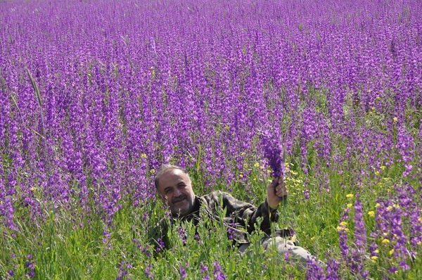 Foto - Rönesans tablosu değil Macar fiği