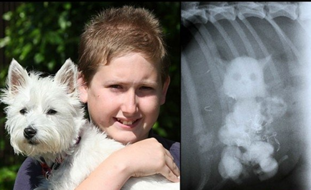 Foto - Röntgen sonrası çıkanlar doktorları bile şok etti! İşte açıklanamayan o görüntüler