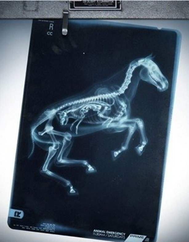 Foto - Röntgen sonrası çıkanlar doktorları bile şok etti! İşte açıklanamayan o görüntüler