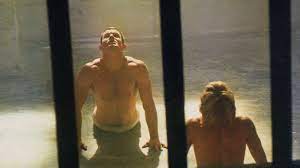 Foto - RTÜK göreve! Netflix haddini fazlası ile aştı artık!