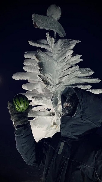 Rus bilim adamları şaşırttı! Antarktika’da yaz meyvesi yetiştirdiler