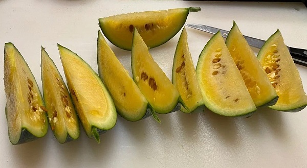 Foto - Rus bilim adamları şaşırttı! Antarktika’da yaz meyvesi yetiştirdiler