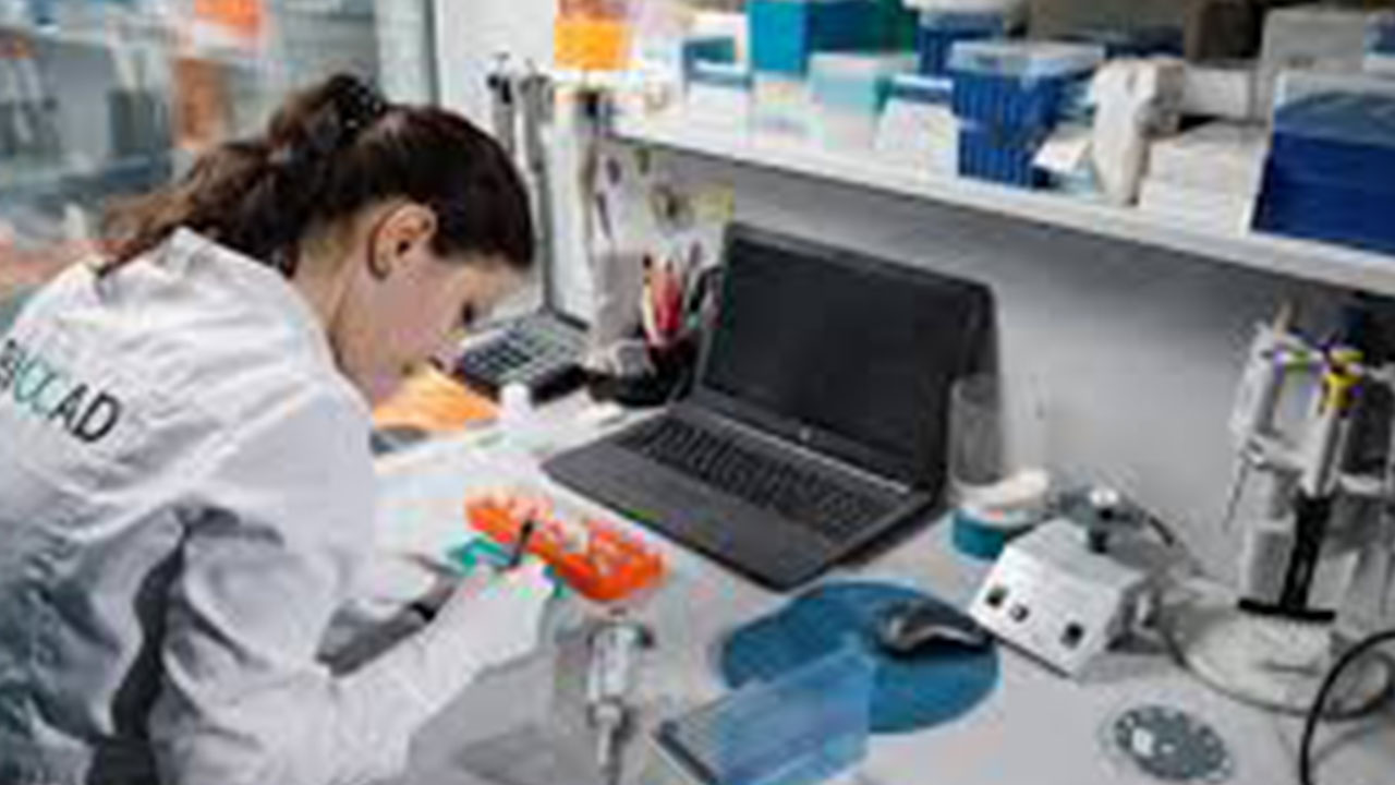 Foto - Rus isimden Türkiye'de şüphe uyandıran karar: 6 bin 900 denek aramaya başladı