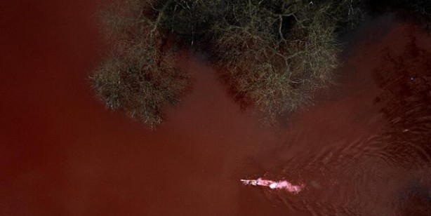 Foto - Rus Konsolosluğu önünde ilginç protesto! 'Kan gölü'nde yüzdüler: Putin Lahey seni bekliyor