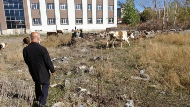 Foto - Rus saldırısına karşı inşa edilmişti! Defineciler saldırdı