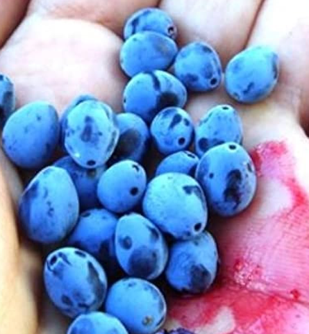 Foto - Ruslar gözünü Kayseri'deki ilçeye dikti! Sebebini gören dönüp bir daha bakıyor