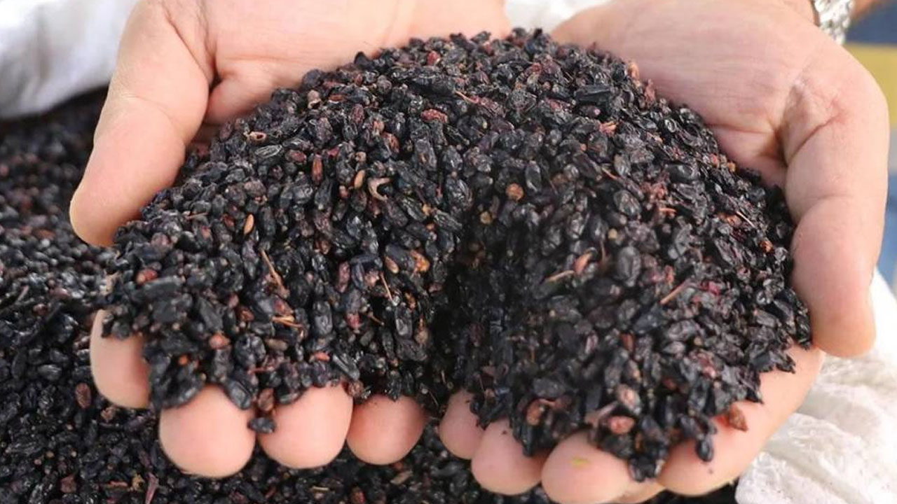 Foto - Rusların çok az hasta olmasının sırrı ortaya çıktı! 