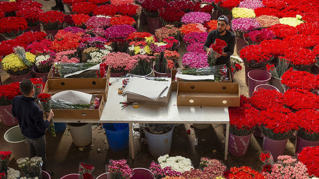 Foto - Rusya acı gerçeği açıkladı: Türkiye'de pahalıya satıldı