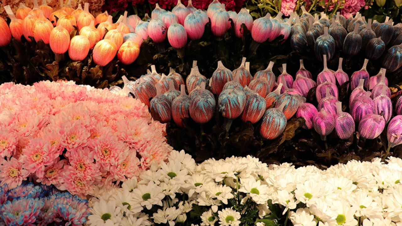 Foto - Rusya acı gerçeği açıkladı: Türkiye'de pahalıya satıldı