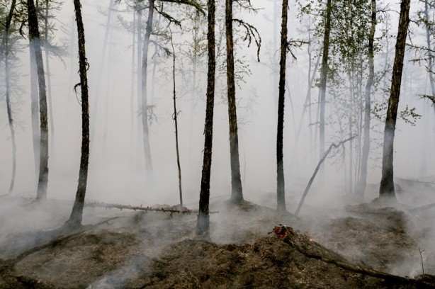 Foto - Rusya cayır cayır! Ülke alarma geçti