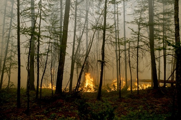 Foto - Rusya cayır cayır! Ülke alarma geçti