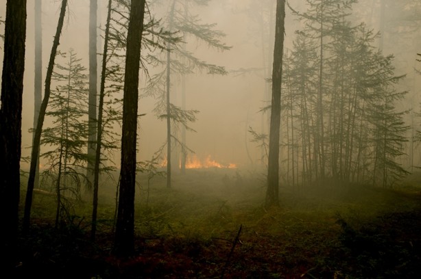 Foto - Rusya cayır cayır! Ülke alarma geçti