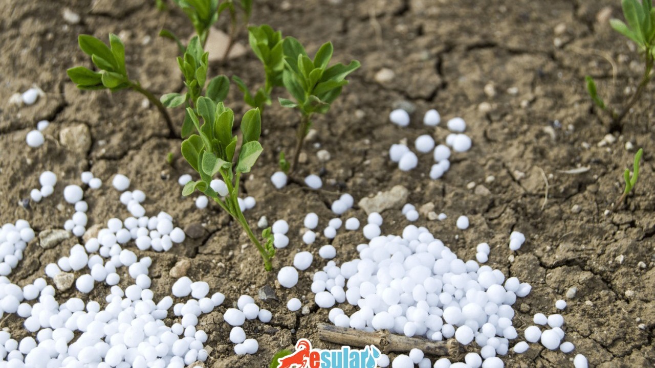 Foto - Rusya duyurdu: Tonlarcasını Türkiye'ye sattık, satış ikiye katlandı