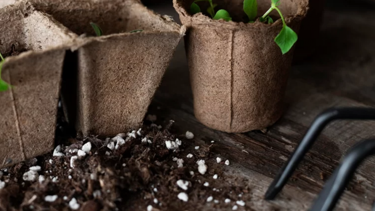 Foto - Rusya duyurdu: Tonlarcasını Türkiye'ye sattık, satış ikiye katlandı