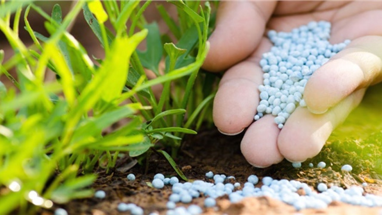 Foto - Rusya duyurdu: Tonlarcasını Türkiye'ye sattık, satış ikiye katlandı