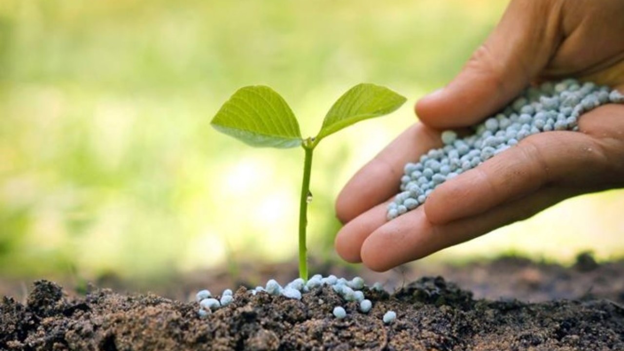 Foto - Rusya duyurdu: Tonlarcasını Türkiye'ye sattık, satış ikiye katlandı