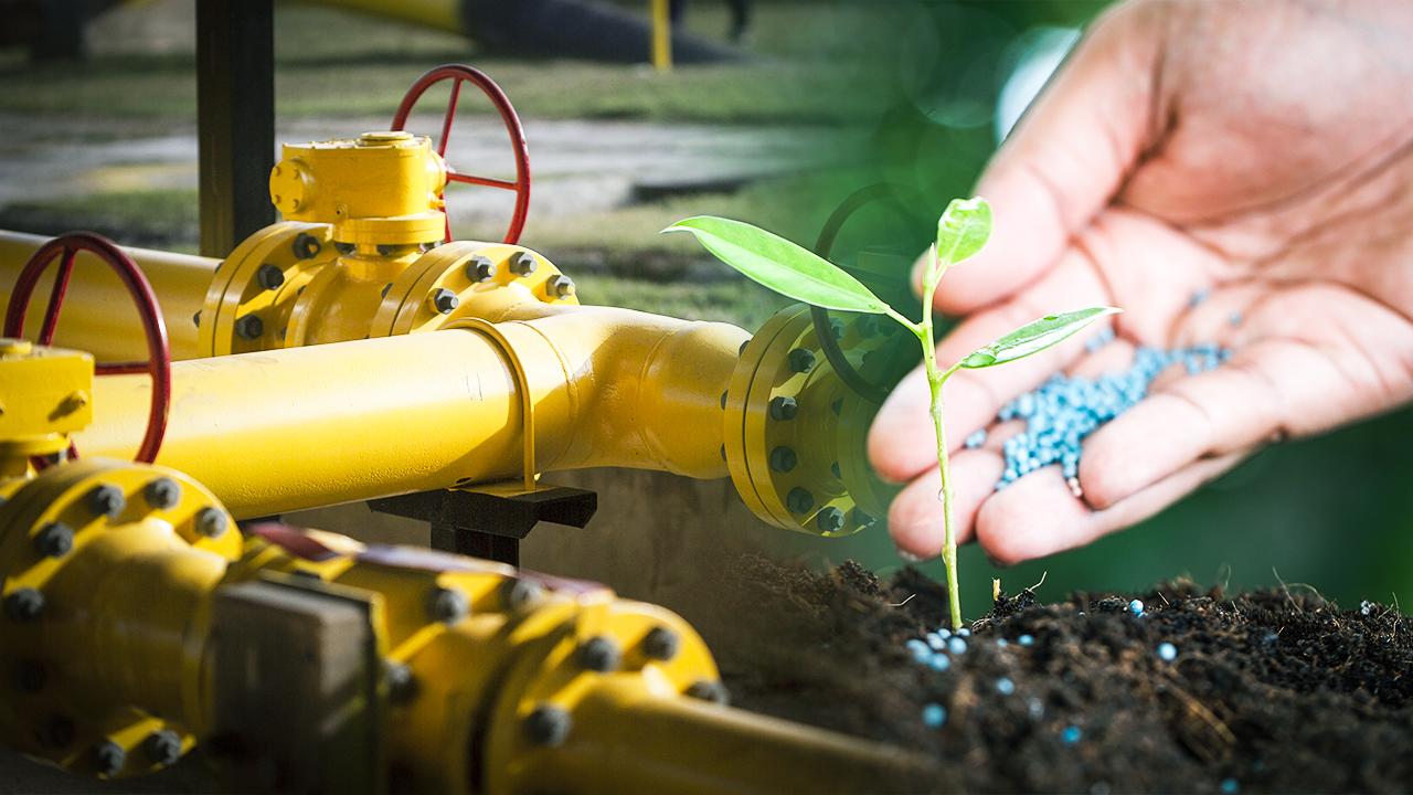 Rusya duyurdu: Tonlarcasını Türkiye'ye sattık, satış ikiye katlandı