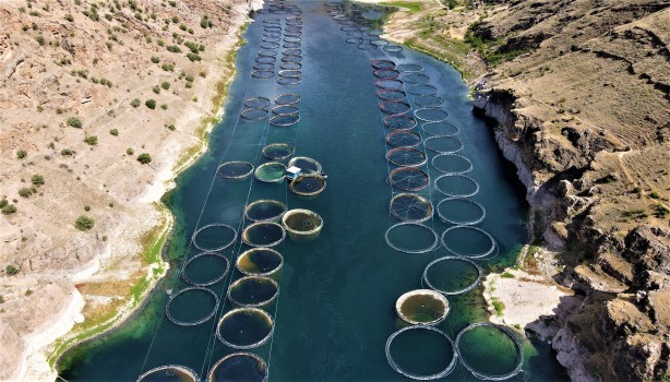 Foto - Rusya, Hollanda, Almanya ve 25 Avrupa ülkesi Türkiye'nin kapısını çaldı! Milyonlarca dolarlık alım yapacaklar