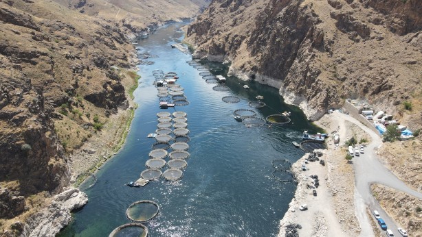 Foto - Rusya, Hollanda, Almanya ve 25 Avrupa ülkesi Türkiye'nin kapısını çaldı! Milyonlarca dolarlık alım yapacaklar