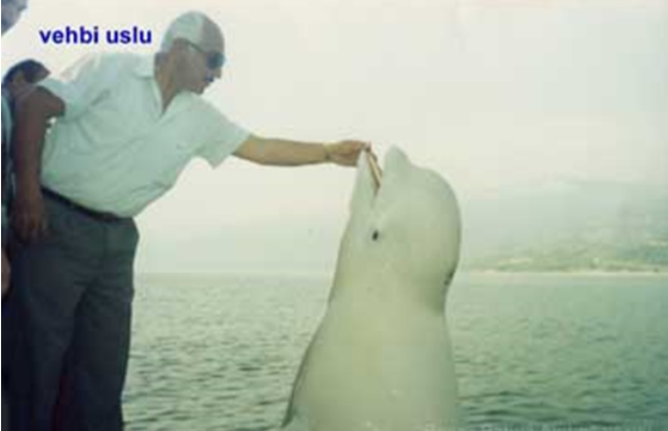 Foto - Rusya ile Türkiye arasında büyük krize neden olan Beyaz Balina Aydın ajan mıydı?