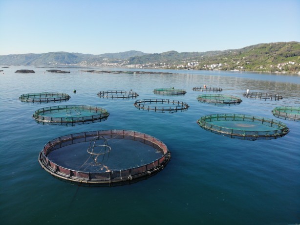 Foto - Rusya, Japonya ve çok sayıda ülke ondan almak için Türkiye'nin kapısını çaldı! Yarım milyarı geçti
