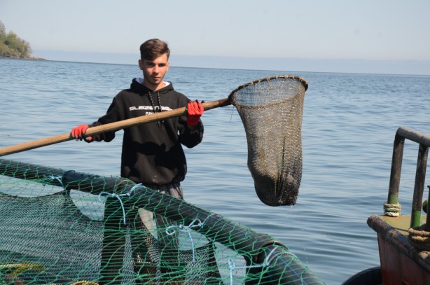 Foto - Rusya, Japonya ve çok sayıda ülke ondan almak için Türkiye'nin kapısını çaldı! Yarım milyarı geçti