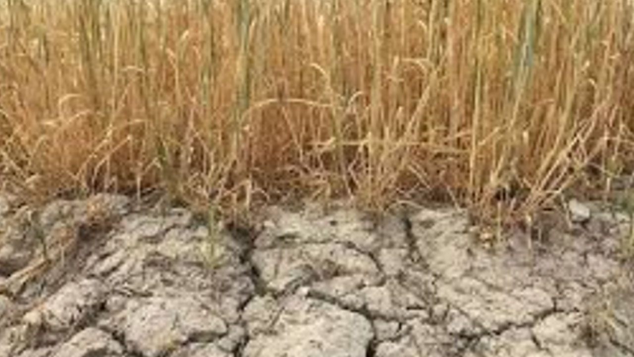 Foto - Rusya OHAL ilan etti: Türkiye'ye artık satmayabilirler