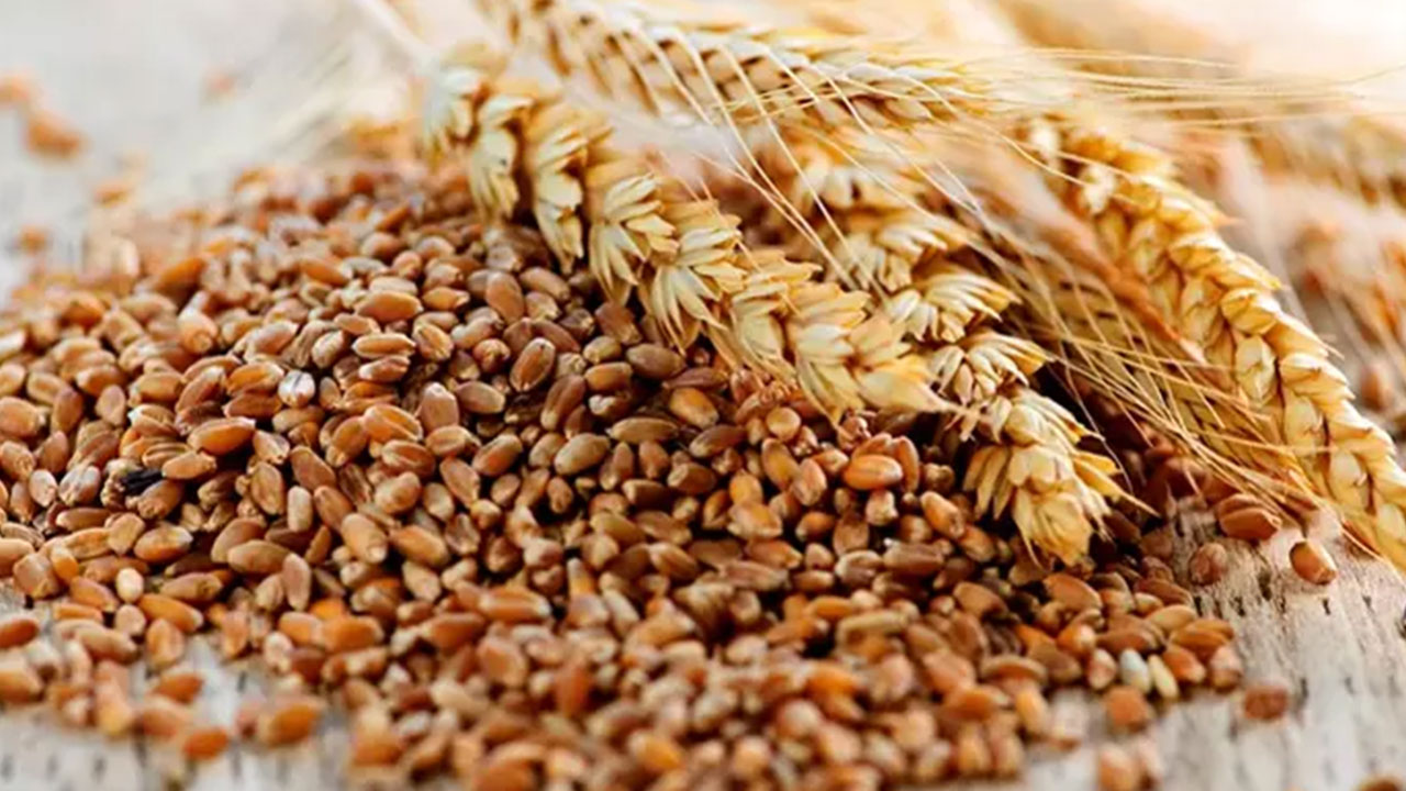 Foto - Rusya OHAL ilan etti: Türkiye'ye artık satmayabilirler