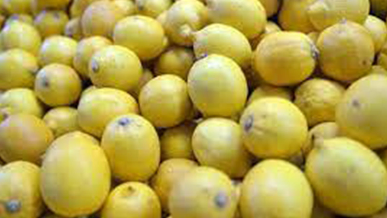 Foto - Rusya Türkiye'nin flaş kararını duyurdu: Bize artık eskisi gibi satmayacaklar