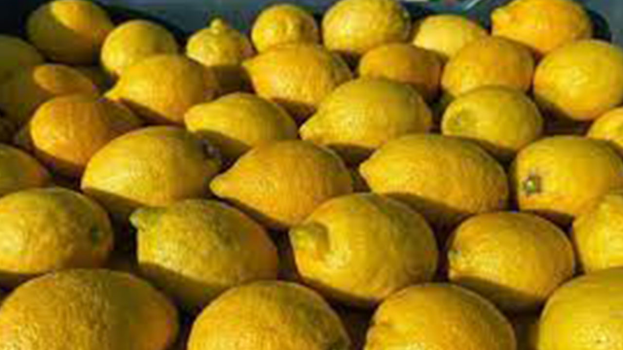 Foto - Rusya Türkiye'nin flaş kararını duyurdu: Bize artık eskisi gibi satmayacaklar