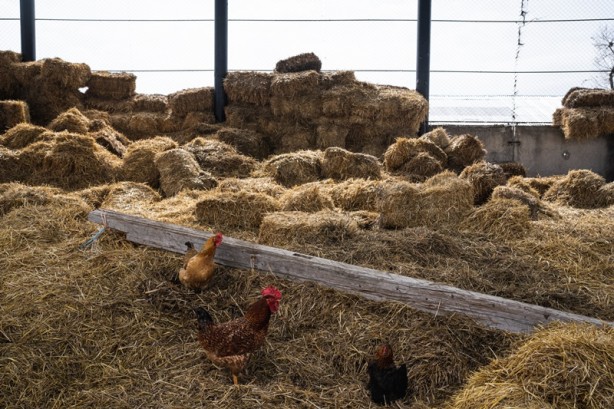 Foto - Rusya Ukrayna savaşı Harkiv'de böyle görüntülendi! Fotoğraflar içler acısı...