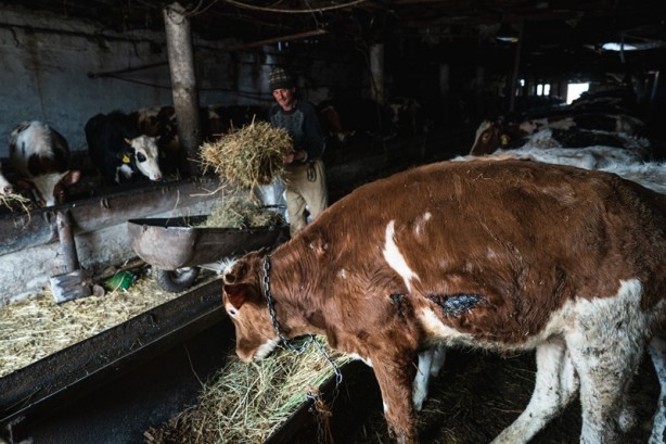Foto - Rusya Ukrayna savaşı Harkiv'de böyle görüntülendi! Fotoğraflar içler acısı...