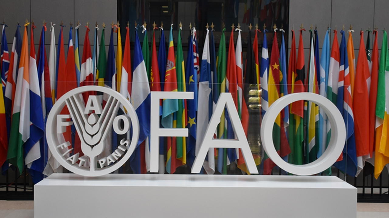 Foto - Rusya ve Belarus elendi, Türkiye FAO üyeliğine seçildi! Türkiye öne çıktı